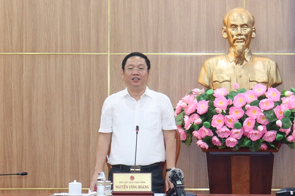 Phó Chủ tịch Ủy ban nhân dân tỉnh Quảng Ngãi Nguyễn Công Hoàng phát biểu chỉ đạo tại cuộc họp.