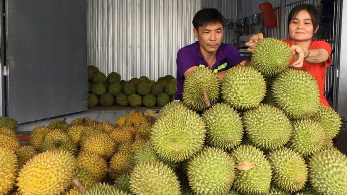 thiet-ke-chua-co-ten-59.png