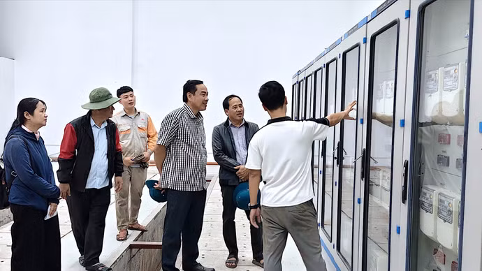 anh-11-4249.jpg