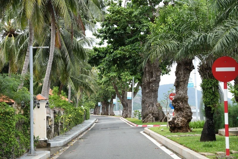 Đặc khu Côn Đảo được Đảng, Nhà nước, địa phương dành nhiều nguồn lực đầu tư. 