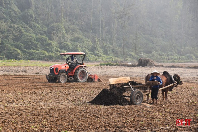 Nông dân xã Hương Bình đang tranh thủ trời nắng để làm đất, bón phân. (Ảnh: Báo Hà Tĩnh)