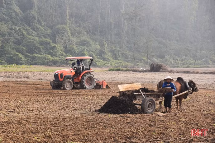 Nông dân xã Hương Bình đang tranh thủ trời nắng để làm đất, bón phân. (Ảnh: Báo Hà Tĩnh)
