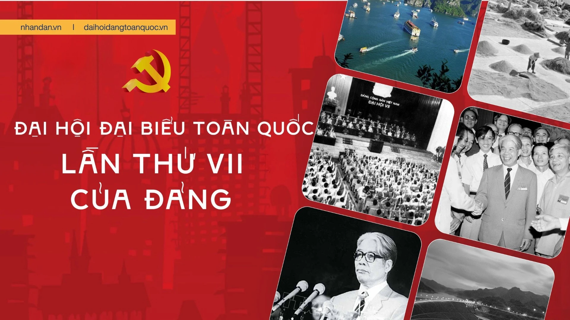 Đại hội đại biểu toàn quốc lần thứ VII của Đảng