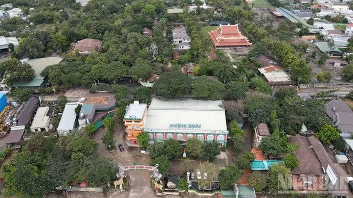 image-1.jpg