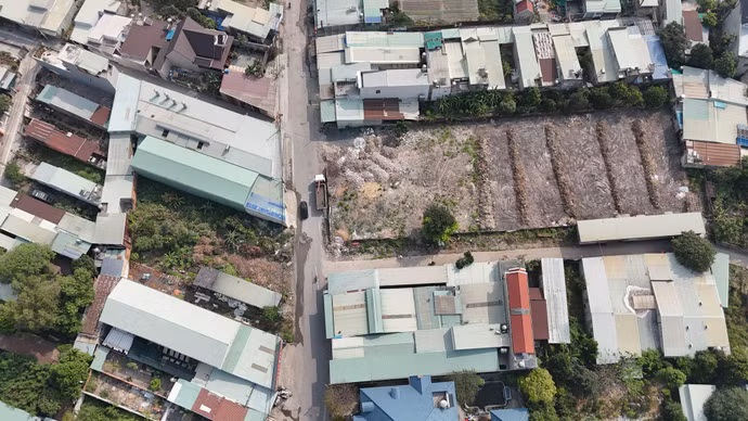 dji-20250305093505-0554-d-resize.jpg