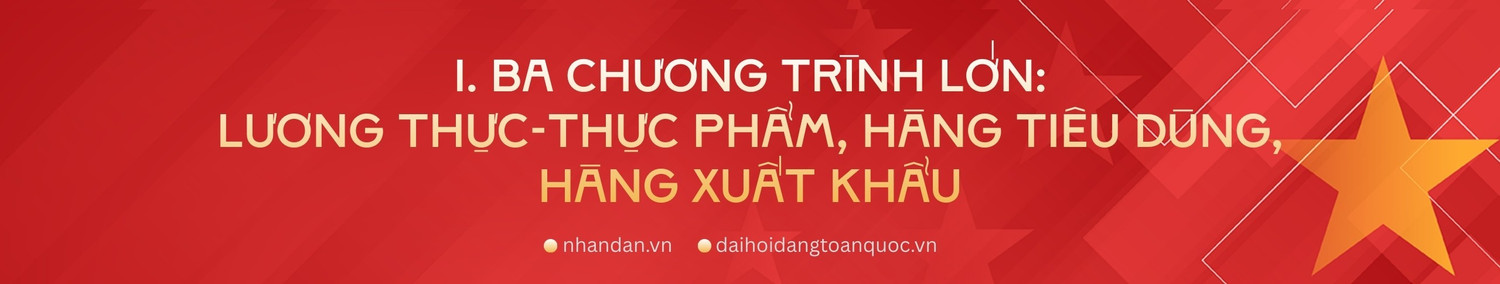 truong-chinh.png
