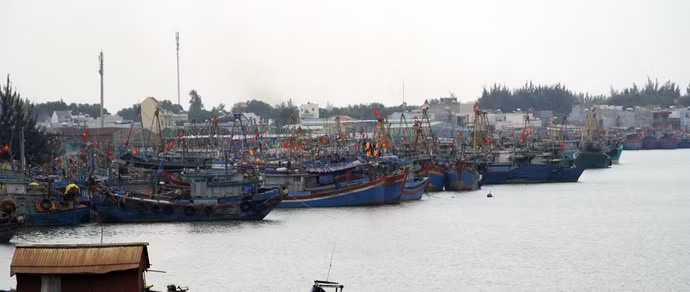 ghe-ca-long-hai.jpg
