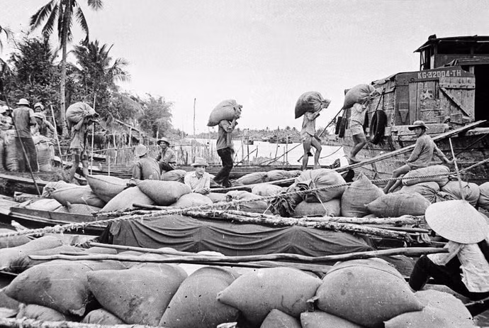 nong-dan-xa-dong-hoa-huyen-an-bien-tinh-kien-giang-cho-lua-du-den-ban-cho-nha-nuoc-thang-8-1978.jpg
