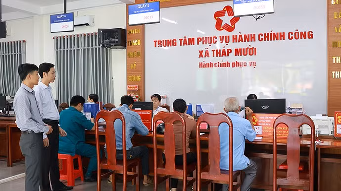 tm2.jpg