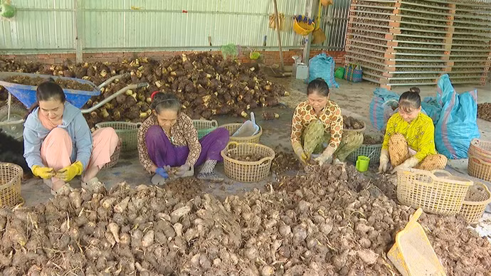 myanhung3.jpg